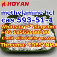 cas 593-51-1methylamine hcl safe delivery +86 19565688180 - 1