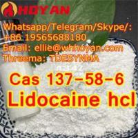 Mexico supply Lidocaine Cas 137-58-6 safe delivery +86 19565688180 - 2