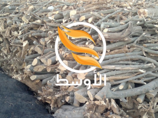 htb-lltsdyr-khshb-afran-albytza