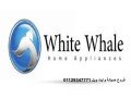 aslah-dyb-fryzr-oayt-oyl-alshatb-01092279973-small-0