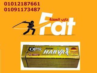kbsolat-nyo-harfa-lltkhsys-01012187661