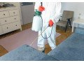 pestman-pest-control-small-3
