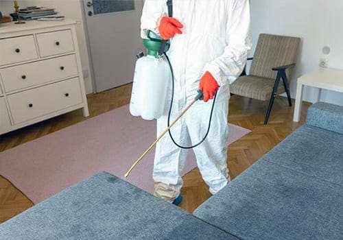 pestman-pest-control-big-3